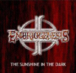 The Sunshine in the Dark